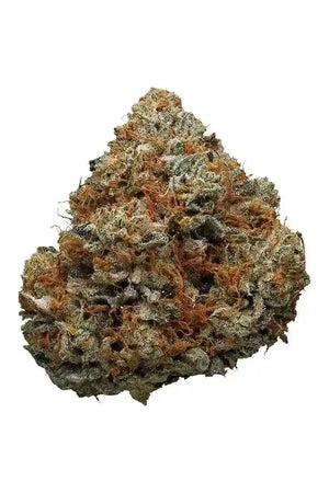 Godfather OG Exotic Indoor THCA Flower Indica