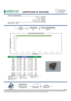 Runtz Exotic Indoor THCA Flower Hybrid