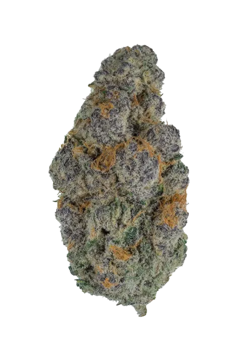 Biscotti Runtz Exotic Indoor THCA Flower Hybrid