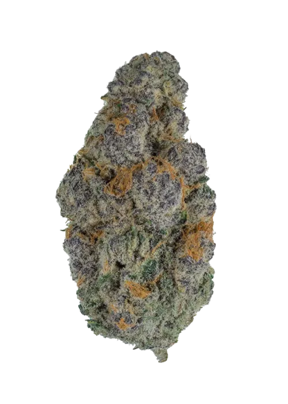 Biscotti Runtz Exotic Indoor THCA Flower Hybrid