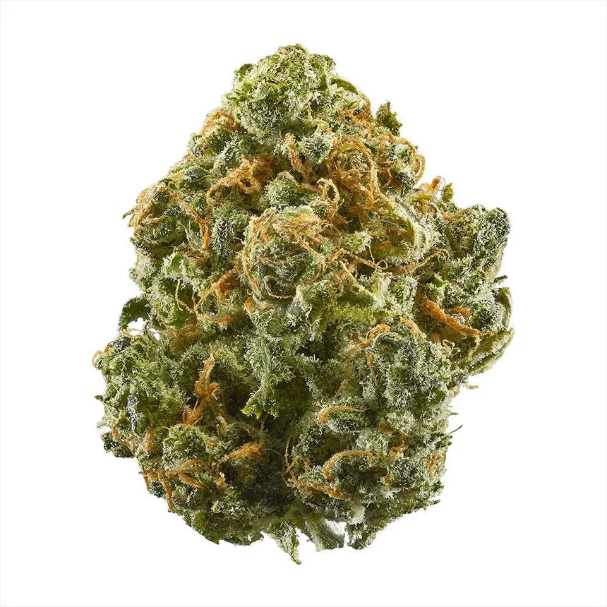 Blue Dream High THCA Flower Sativa