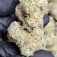 Mule Fuel Exotic Indoor THCA Flower Indica